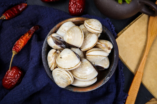 Fresh white clams on irregular ceramic plate light blue gauze fabric