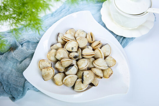 Fresh white clams on irregular ceramic plate light blue gauze fabric