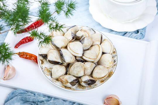 Fresh white clams on irregular ceramic plate light blue gauze fabric