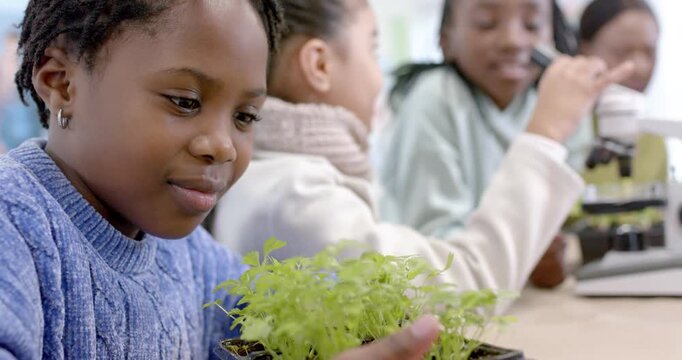 African American teen girls during lab examining seedlings while peers using microscope, copy space