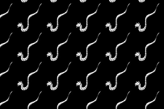 Seamless pattern of cute cartoon snake illustration on black background