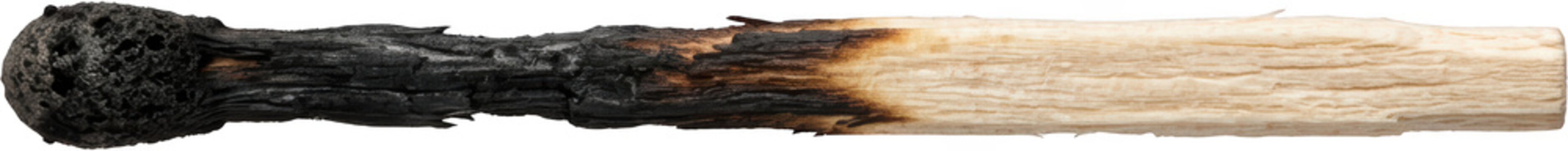 Single burnt wooden matchstick photographed horizontally from the side showing charred black head consumed tip damaged texture burnt wood grain detail and whole stick structure