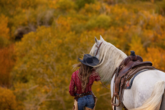 Wyoming Ranch Cowgirl with  grey AQHA Quarter Horse 