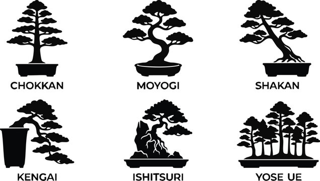 Bonsai tree styles are illustrated in a comprehensive black silhouette chart to showcase various artistic pruning techniques including Chokkan and Kengai for enthusiasts.