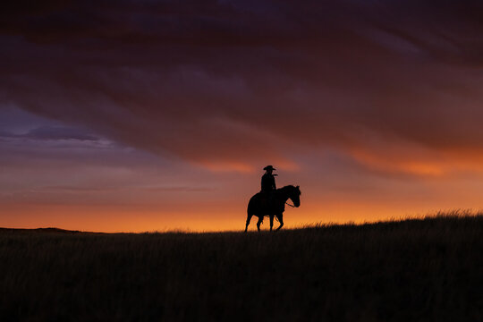 Wyoming Cowgirl cowboy on horse silhouette 