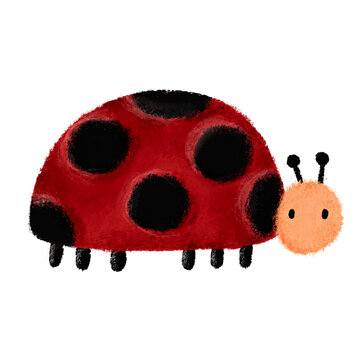 Cute illustration of red ladybug