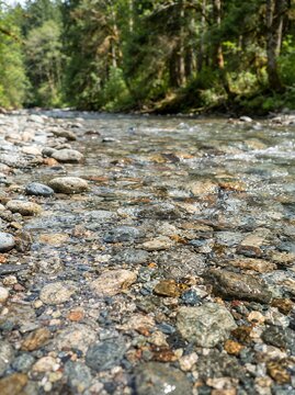 Clear flowing river over colorful stones in a lush green forest.