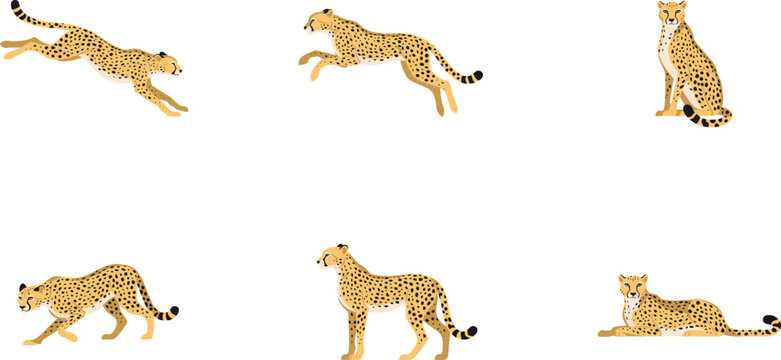 African Cheetah and Leopard Wild Big Cat Vector Icon Set with Running, Jumping, Sitting, and Lying Animal Poses for Wildlife Conservation Graphic Designs