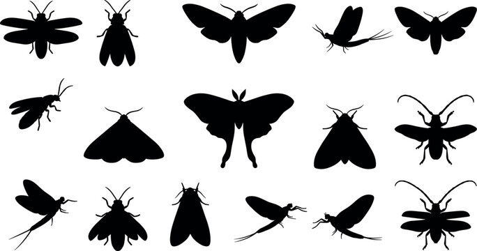 Insect Silhouettes Collection Featuring Moths Flies Beetles and Winged Bugs