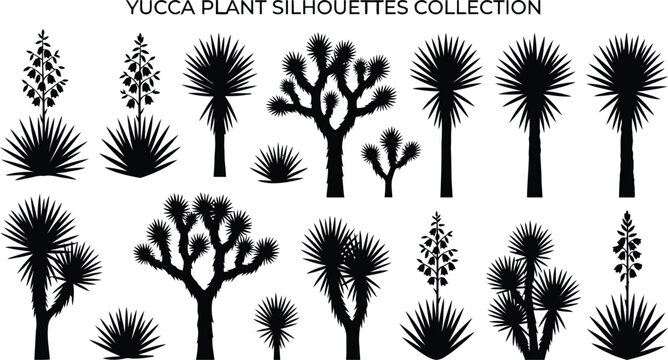 Black and white yucca plant silhouettes collection