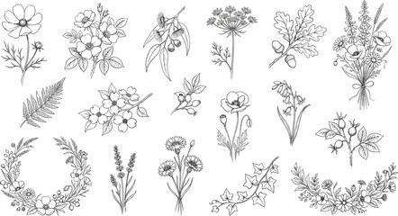 Fototapeta premium Vintage botanical line art wildflower illustration set with wreaths, leaves, and herbs isolated on white background for wedding invitation design elements