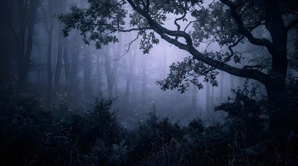 Fototapeta premium Spooky Spooky Forest Landscape with Dense Fog and Oak Tree Silhouette at Night