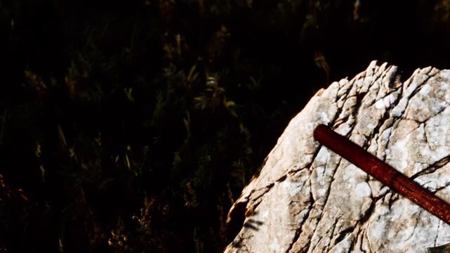 A wooden axe lies on a large stone in a forest area. The axe shows signs of use. Sunlight creates shadows around the stone. The scene captures a rustic outdoor moment.