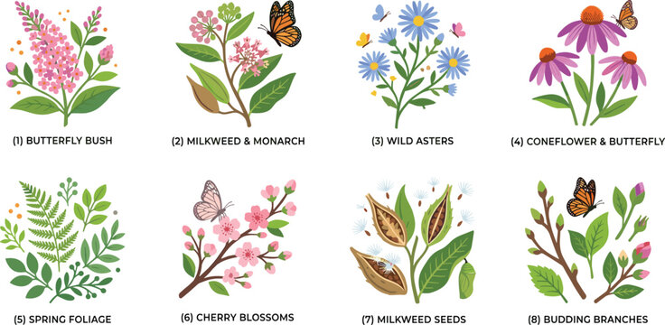 Colorful botanical vector set featuring flowers, butterflies, milkweed, and spring foliage illustrations for design.