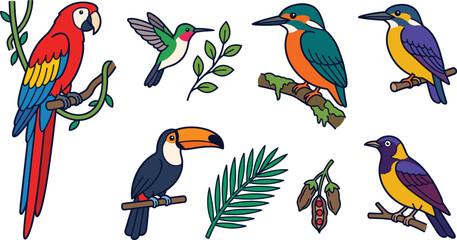 Obraz premium Tropical bird collection featuring macaw, hummingbird, kingfisher, toucan, oriole, and colorful exotic wildlife flat vector illustration