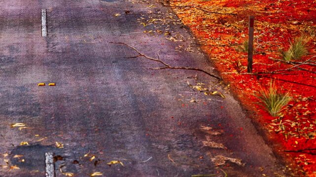 A road covered with fallen leaves. There are yellow objects on the ground. The surroundings have hints of red and brown, indicating autumn is present.
