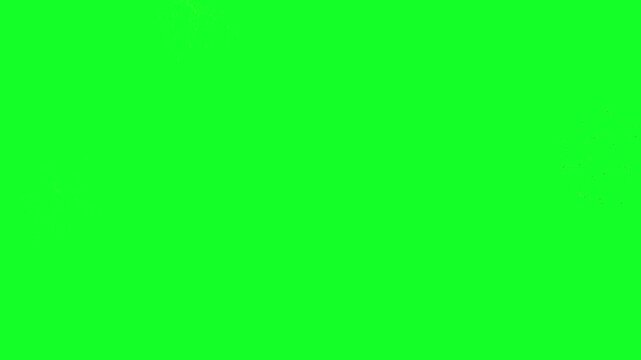 Green screen backdrop provides an expansive and uniform surface area designed specifically for professional chroma keying techniques in film production and advanced digital video post-production.