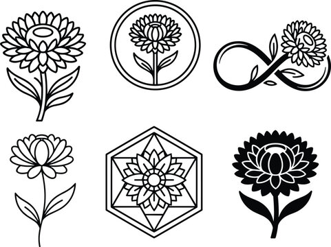 Minimalist Strawflower Everlasting Floral Logo Vector Set Featuring Detailed Line Art Geometric Hexagon Circular Crest And Infinity Loop BadgesMinimalist Strawflower Everlasting Floral Logo Vector Set