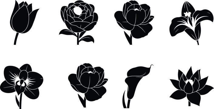 Set of Eight Black Flower Silhouette Vector Icons Featuring Tulip, Peony, Lily, Orchid, Calla, and Lotus Designs