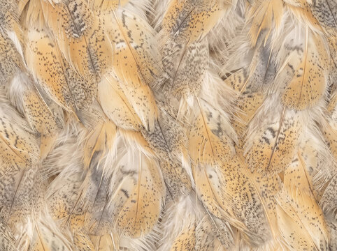 Close-up barn owl feathers with soft cream, beige and gray plumage, fine dark speckles and layered texture, creating an elegant natural bird background for decorative design.