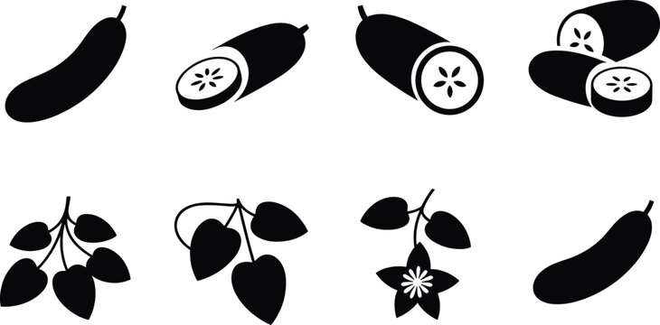 Cucumber silhouette vector set with whole sliced fruit leaves vines and flower elements