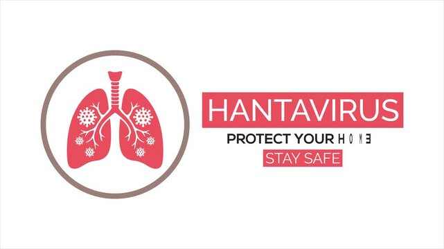 Animated lung illustration highlighting hantavirus infection prevention with modern healthcare graphics.
