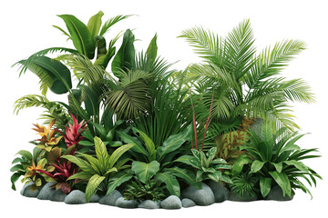 Fototapeta premium Colorful tropical plant border with decorative stones