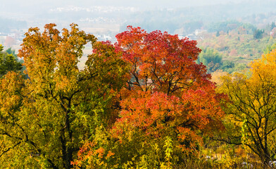 Fototapeta premium Autumn Colors of Hongcun and Tachuan Villages near Huangshan, Anhui, China