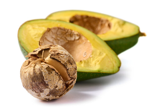 cracked avocado seed and two halves isolated white background, peeling brown pit and fresh green fruit in close-up view