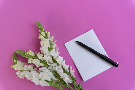 Pink background holds white flowers and pen. Note paper rests beside sleek black pen. Flowers bloom upward with green stems. Perfect for journals, notes