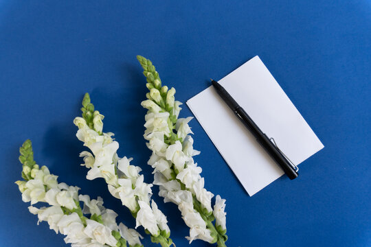 White flowers grace a bold blue surface. Black pen rests beside a blank note, inviting thought. Stillness speaks louder than words. Ideal for creative writing, planning, or minimal design