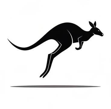 kangaroo vector illustration