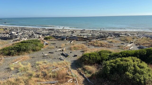 A beach covered with driftwood in Brookings, Oregon.