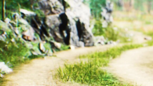 A pathway cuts through a green area with tall grass and rocks. Water flows nearby, and trees surround the scene. It is a bright, sunny day in the forest.