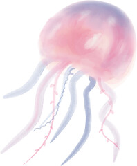 jellyfish in the water © bogyeong