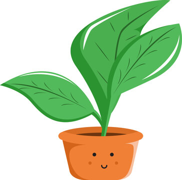 Cute cartoon houseplant in a smiling terracotta pot, vector illustration of a small broad leaf plant isolated on white