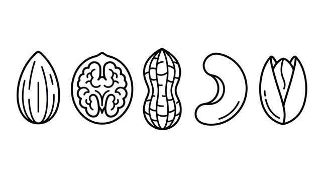 Various edible nuts including walnut, almond, and peanut outlines.