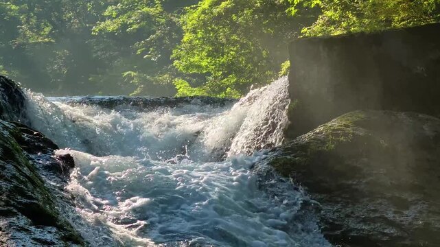 夏の菊池渓谷　四十三万滝