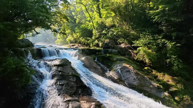 夏の菊池渓谷　四十三万滝