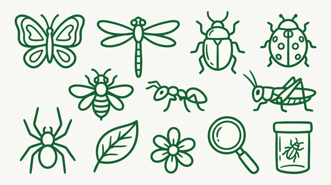 A collection of stylized green line art illustrations depicting various insects and nature elements on a light background.