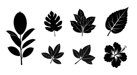 Obraz premium Hibiscus flower and diverse leaf shape silhouettes.