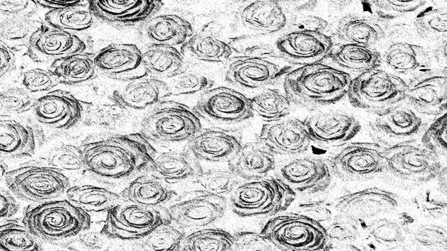 Black and White Rose Flower Sketch Texture Background Overlay