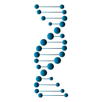Double helix dna strand illustration isolated on white background