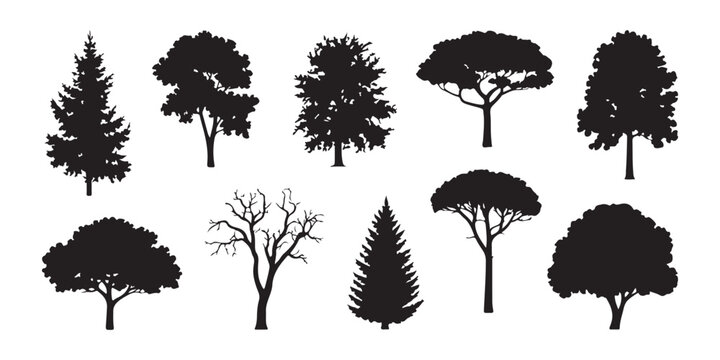 Detailed woodland tree silhouettes set including leafless branches and tall evergreen pine species.