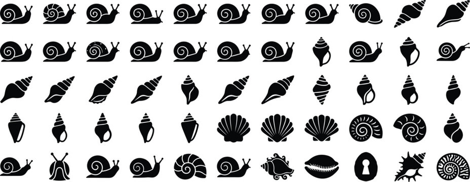 Snail and seashell silhouette collection, marine shell icon bundle, black vector illustration, isolated white background design artwork