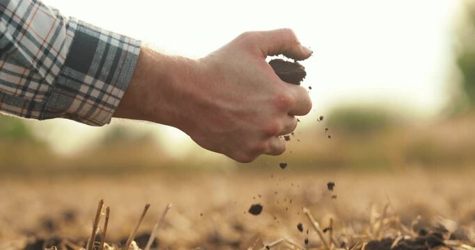 Close-up of a farmer letting fertile soil fall through his fingers in a harvested field. Concept of soil quality assessment, sustainable agriculture, healthy farmland, and precision farming practices 