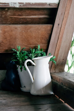 Jug of water and plant on wooden table in vintage style.