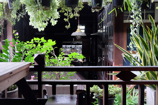 Wooden terrace with flowers and plants in pots on the balcony
