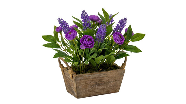 Beautiful purple flowers in a small rustic wicker basket plant pot isolated on transparent background