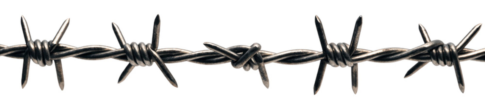 Close Up of Barbed Wire Against Png